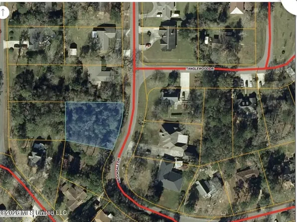 Brookdale Dr Lot 1071, Carriere, MS 39426