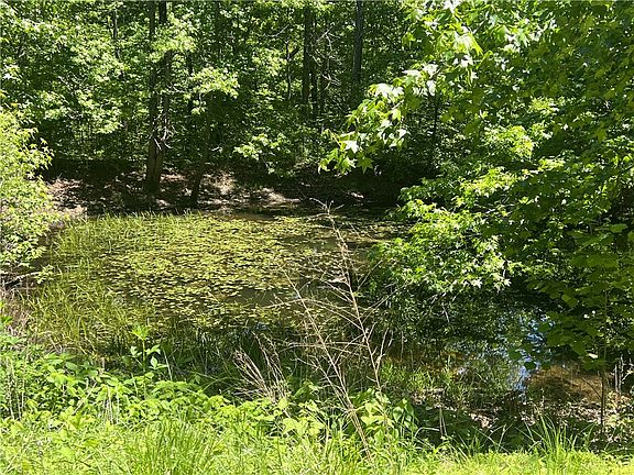 2nd image of Terrapin Rd