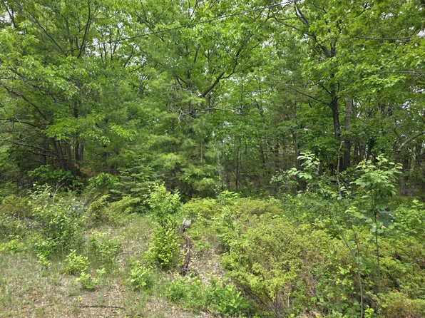 Balsam Cir, Presque Isle, MI 49777