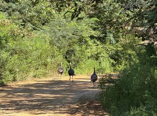 0 Chestnutt Rd, Slocomb, AL 36375