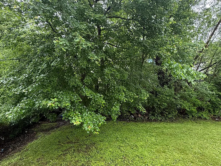 10 Kilborn St #75B — Photo 20