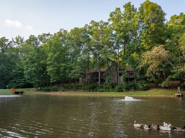 7348 Bradford Rd, Primm Springs, TN 38476
