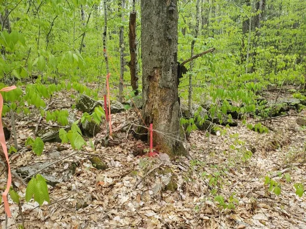 0 Old Gilsum Road, Keene, NH 03431