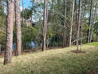 59 Wellstream Dr #A — Photo 10