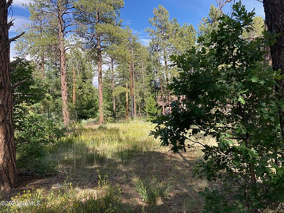 2nd image of 17375 Crystal Brook Pl