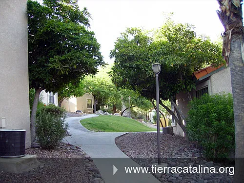 6460 N Tierra De Las Catalinas #116 — Photo 2