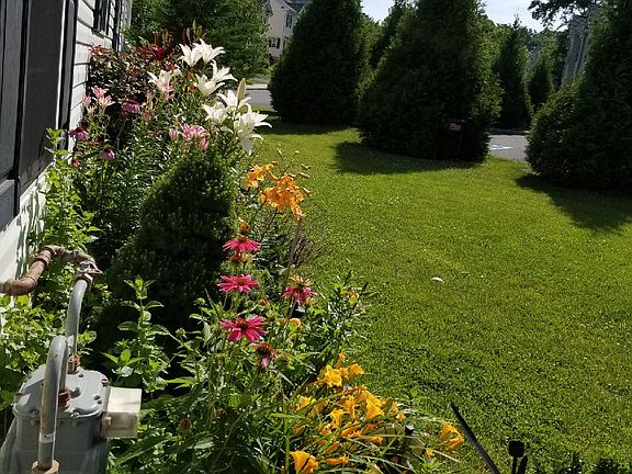 Beautiful Landscaping 