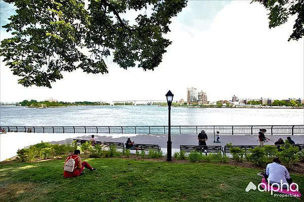 Rented by Alpha Properties NYC I LLC | media 2