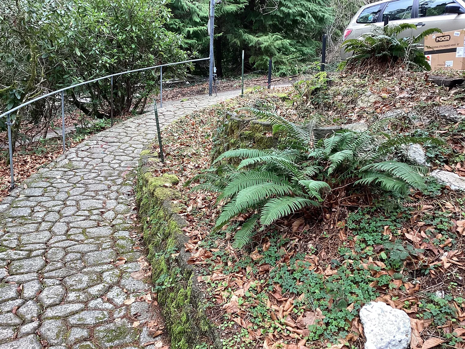 202nd Pl SE, Issaquah — Photo 3