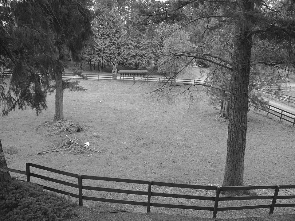 One of Two Pastures