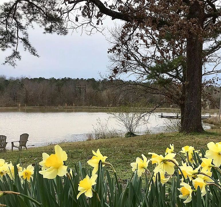 Lake Living