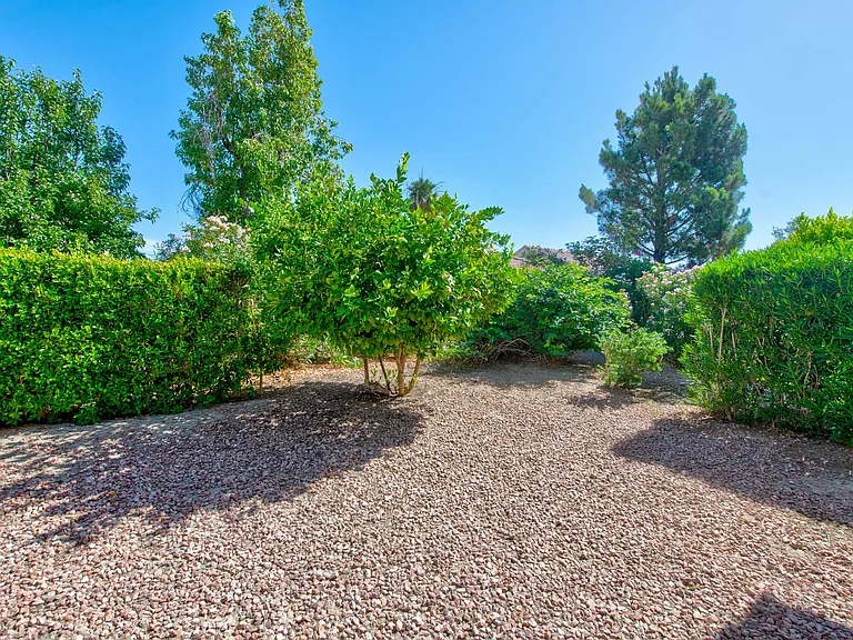 78282 Yucca Blossom Dr — Photo 17