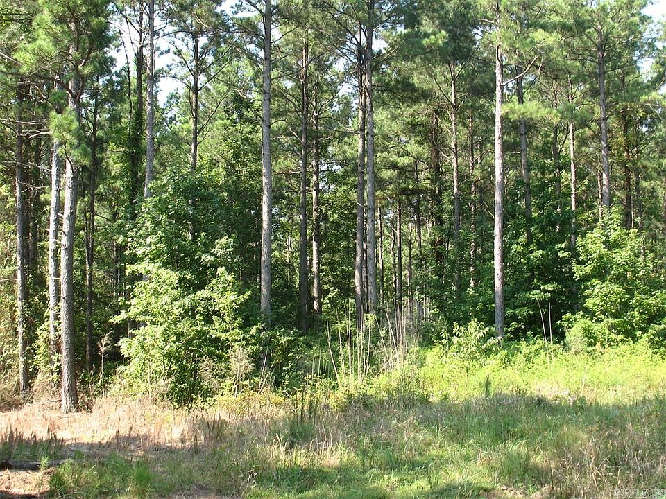 2nd image of 0 Calhoun County 58.42 Acres