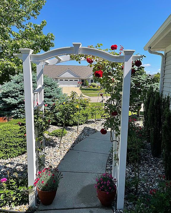 Rose Garden 