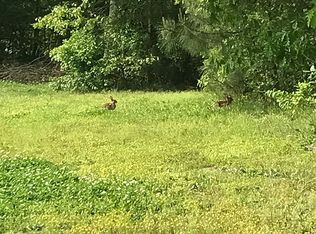 585 Nowhere Rd, Danielsville, GA 30633