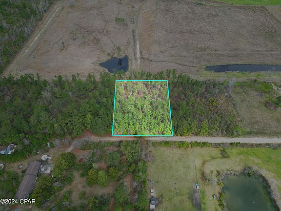 4th image of Northwood Dr #38