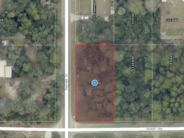 AZALEA AVENUE LOT 8, PAISLEY, FL 32767