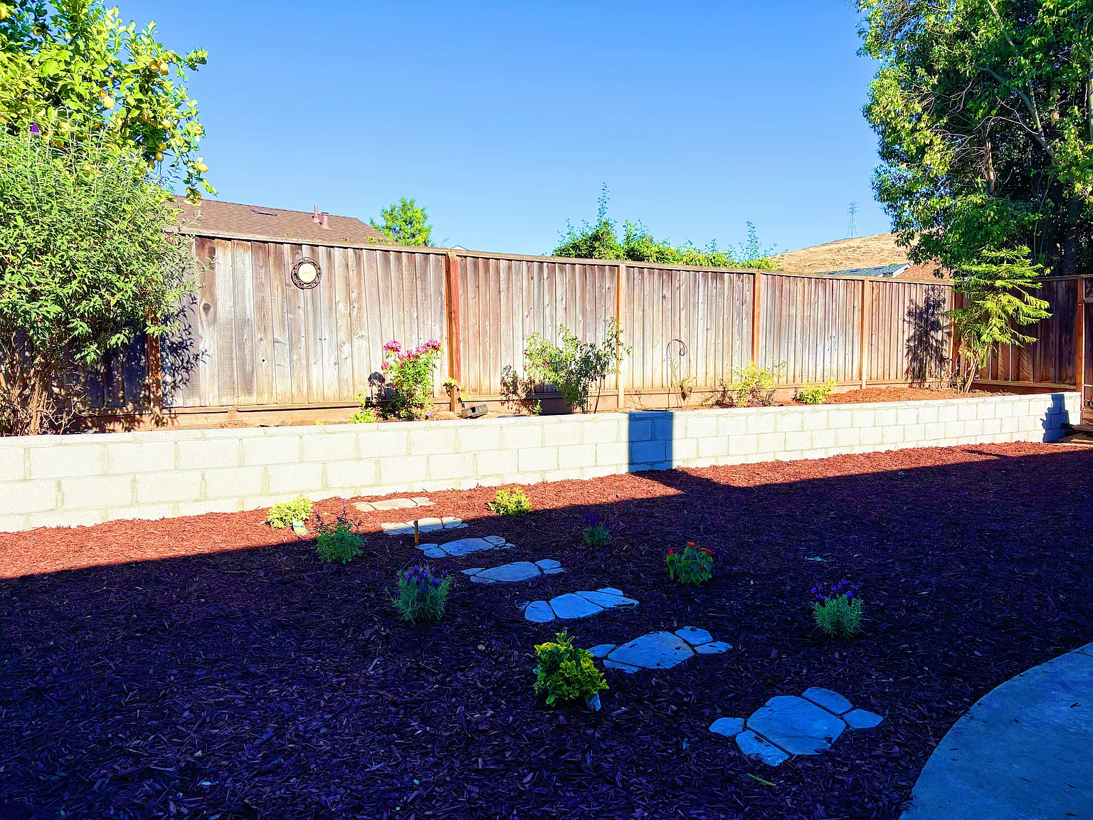 6410 Camino Verde Dr — Photo 2