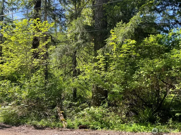 193 Paradise Drive, Eatonville, WA 98328