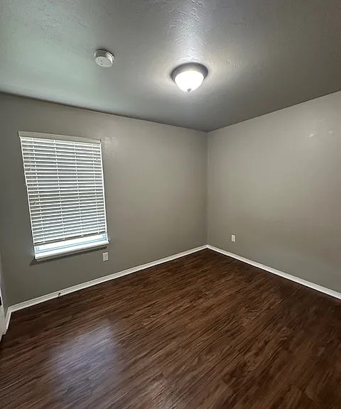 14601 Moon Daisy Dr — Photo 13