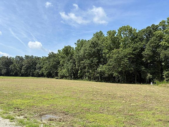 5th image of 425 Wiggins Estates Ln