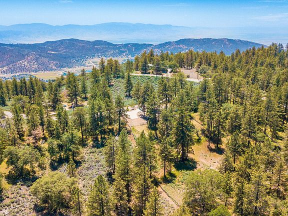 27361 Stirrup Way-8