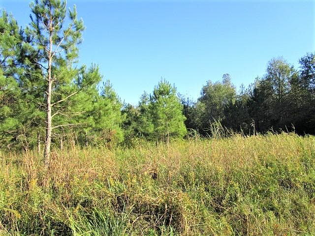 2nd image of 0 Three 5 Acres Highway Gardner Blvd #453