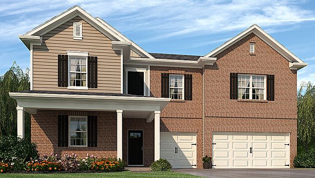 Elevation Image 1.