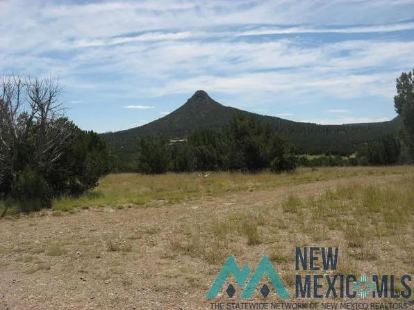 3.75 / Acres Tract B-2, Serafina, NM 87569