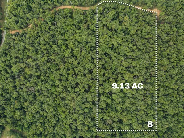 Lot 8 Mink Drive (9.13 Ac) #9.13 Ac, Neosho, MO 64850