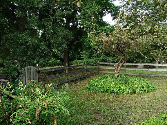 front right/fenced yard