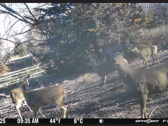 4th image of 0 Aspen Rd