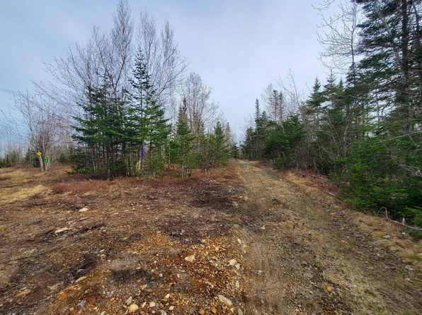 0 Meadow Road, Addison, ME 04606