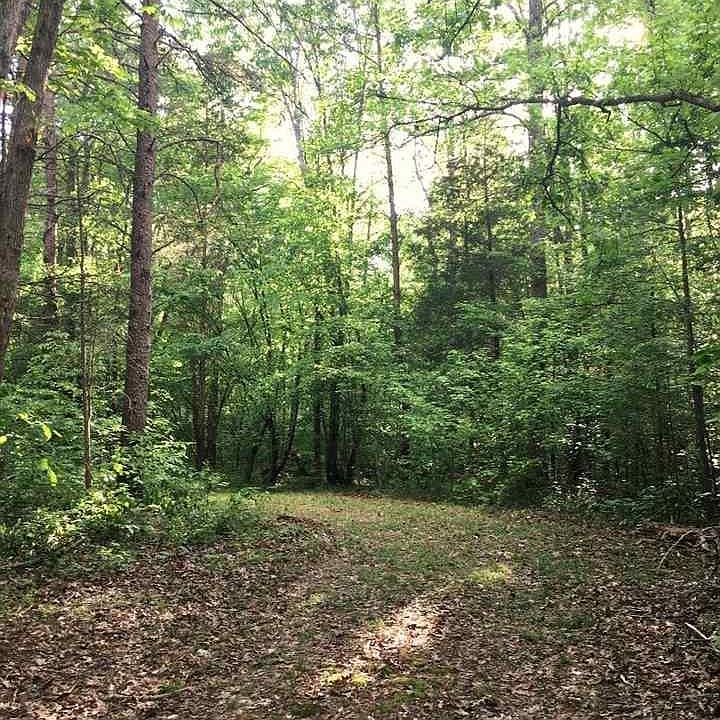 10600 Shannon Hill Rd, Louisa, VA 23093 Zillow