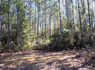 LOT R20622 Fm 11 #770, Kountze, TX 77625