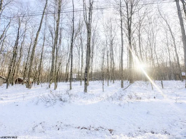 Hemlock Cir, Terra Alta, WV 26764