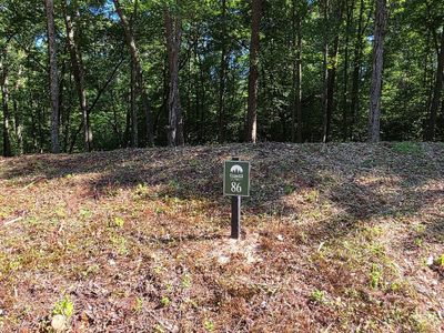 86 Cedar Ct, Ellijay, GA, 30540