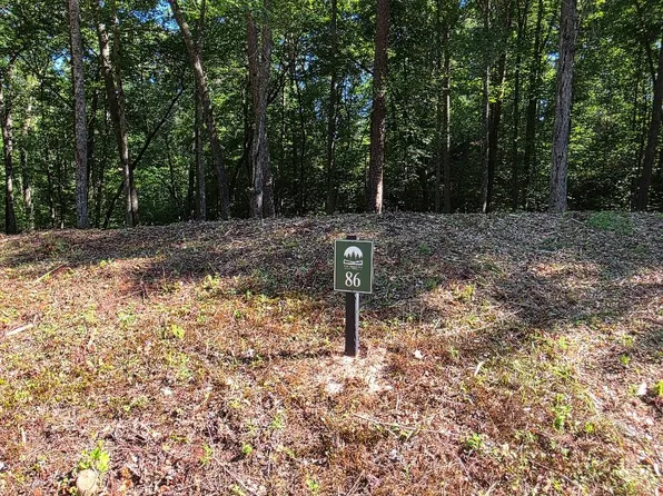 86 Cedar Ct, Ellijay, GA 30540