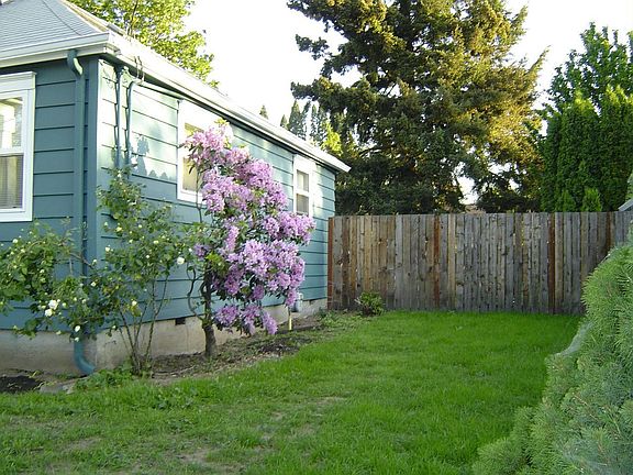 East side of front yard