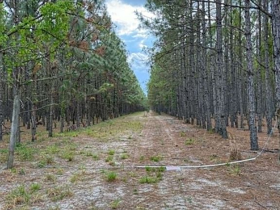 2nd image of SE Pearl Fletcher Rd