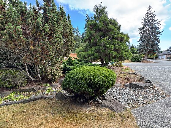Front yard