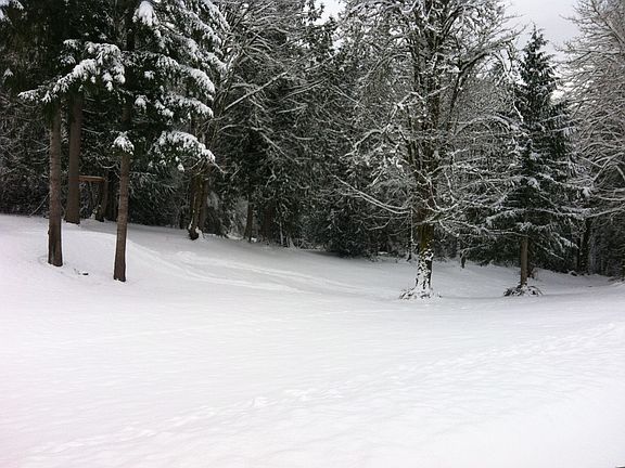 4th image of 75321 Clatskanie Valley Dr