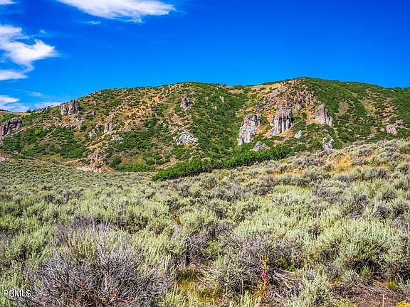 5th image of 9165 Spotted Owl Ct Lot 29