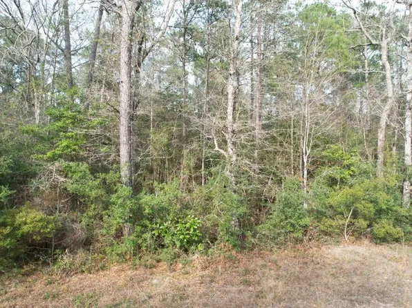 291 County Road 4061, Bon Wier, TX 75928