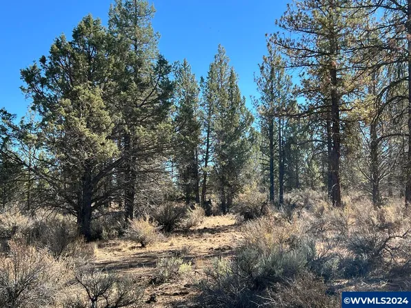 Tl 600 Oregon Pines Rd, Beatty, OR 97621