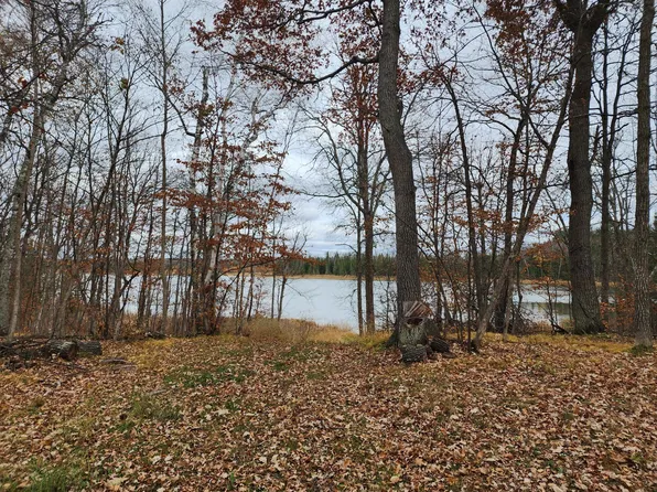 Tbd Anyon Trl NW, Backus, MN 56435