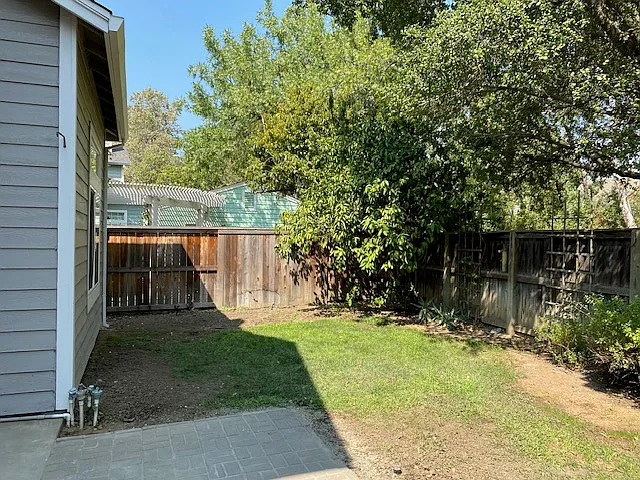 Patio and backyard