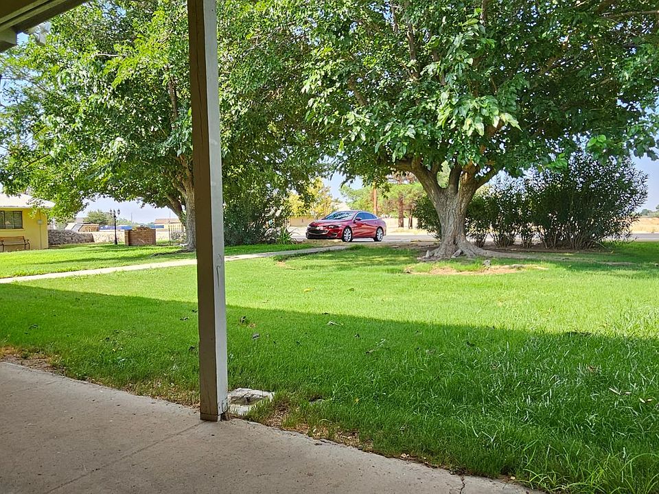 Yard view from front door.