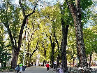 Rented by Alpha Properties NYC I LLC