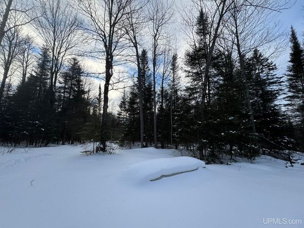 N9491 Sturgeon Rd, Sagola, MI 49881